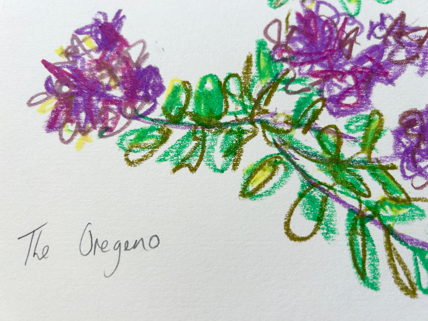 Fresh summer sketches.