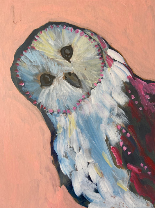 Willow the Therapy barn owl